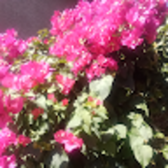 micahl_l